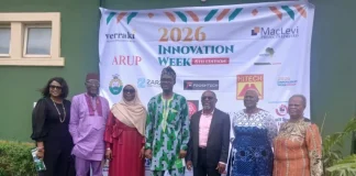 Experts push AI, local innovation to tackle Nigeria’s energy access challenge