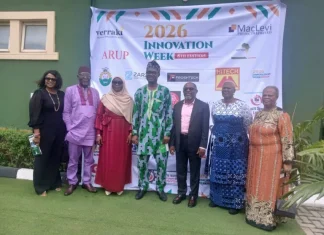 Experts push AI, local innovation to tackle Nigeria’s energy access challenge
