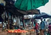 Persistent rainfall, flooding drive tomato shortage, price surge in Anambra