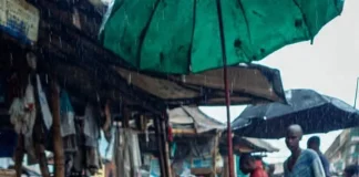 Persistent rainfall, flooding drive tomato shortage, price surge in Anambra