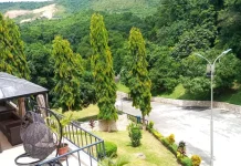 Ikogosi Warm Springs cuts energy expenses by N513m via solar transition