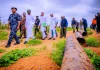 NNPC and security agencies vow crackdown after vandals strike FCT crude pipeline