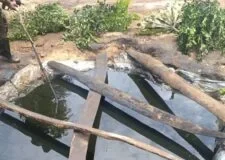 Nigerian Navy uncovers concealed crude oil storage site in Delta anti-theft operation
