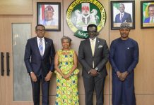 Nigeria, Ghana forge stronger insurance alliance to boost innovation, financial inclusion