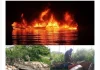 Navy recovers 52,600 litres of suspected stolen crude in Rivers