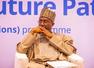 FG moves to sustain mangrove ecosystem, deepen blue economy