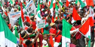 NLC delegate dies at international labour conference in Geneva