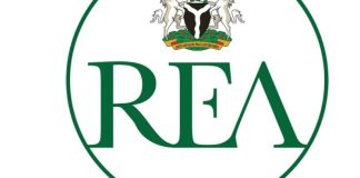 Nigeria targets 209,000MW solar capacity by 2050 as REA rolls out $750m mini-grid initiative