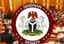 Senate demands full financial records from SEDC as oversight hearing intensifies