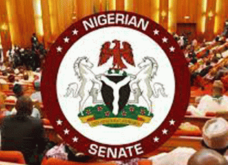 Senate demands full financial records from SEDC as oversight hearing intensifies