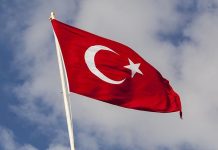 Türkiye tables ambitious 35% global electrification target for COP31
