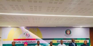 ECOWAS Parliament urges faster renewable energy push for rural electrification