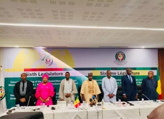 ECOWAS Parliament urges faster renewable energy push for rural electrification