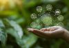 FG pushes green finance drive as Nigeria targets environmental sustainability