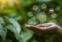 FG pushes green finance drive as Nigeria targets environmental sustainability