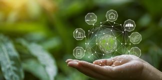 FG pushes green finance drive as Nigeria targets environmental sustainability