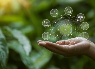 FG pushes green finance drive as Nigeria targets environmental sustainability