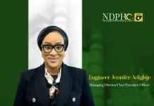 AI boosts power generation efficiency, says NDPHC