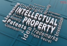 Federal government collaborates with WIPO, expands IP protection and commercialization