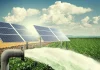 Kano farmers get financing access for solar irrigation push