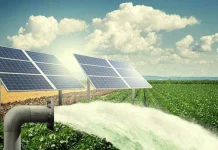Kano farmers get financing access for solar irrigation push