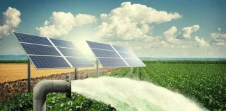 Kano farmers get financing access for solar irrigation push