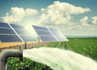Kano farmers get financing access for solar irrigation push