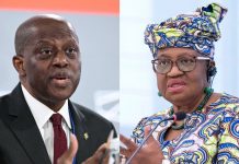 CBN, WTO chief to headline Africa economic resilience forum