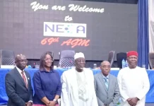 NECA urges FG to sustain reforms, strengthen power sector
