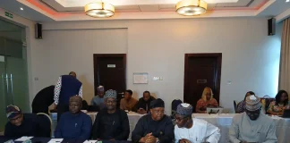Power reforms must fix entire value chain, says Tegbe