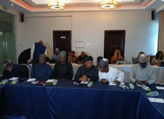 Power reforms must fix entire value chain, says Tegbe