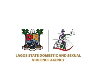 Lagos DSVA intervenes in widow’s assault, property dispute