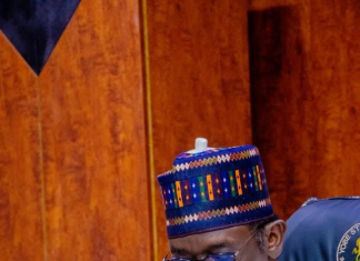 Yobe approves N73.3bn for agriculture, infrastructure and housing projects