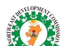 NEDC approves ₦100bn solar power project for North-East