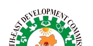 NEDC approves ₦100bn solar power project for North-East