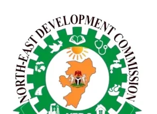 NEDC approves ₦100bn solar power project for North-East