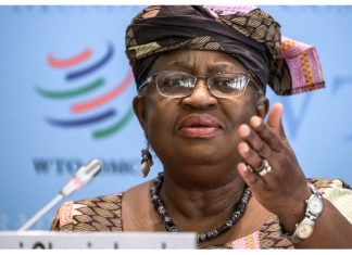 Okonjo-Iweala urges Africa to seize AI, green economy opportunities