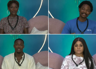 Day 2 diary sessions reveal early alliances, tensions in bbnaija season 11