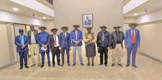 Nigeria, Benin, Cameroon advance regional border modernisation after Beitbridge benchmarking mission