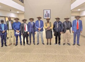 Nigeria, Benin, Cameroon advance regional border modernisation after Beitbridge benchmarking mission
