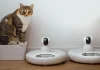 China’s smart pet care market expands on AI demand