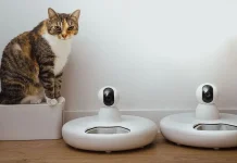 China’s smart pet care market expands on AI demand