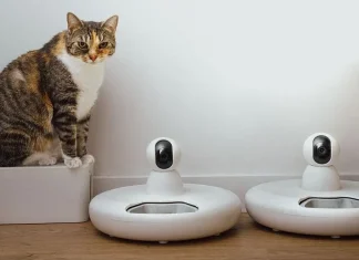 China’s smart pet care market expands on AI demand