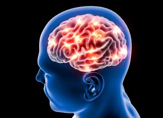 Study finds 470 million people in Americas living with neurological disorders