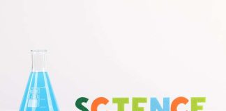 Stakeholders seek greater investment in science, education research