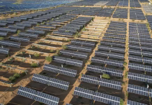 Niger allocates land for mega solar, steel hub