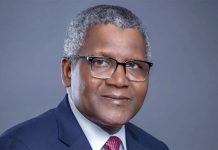 In search of a Dangote: the missing link in Nigeria’s lithium industrialisation agenda
