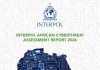 Interpol report finds AI linked to more than half of cybercrime in africa