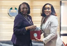 NDPHC seeks electricity infrastructure optimisation to drive economic growth