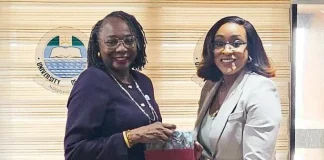 NDPHC seeks electricity infrastructure optimisation to drive economic growth